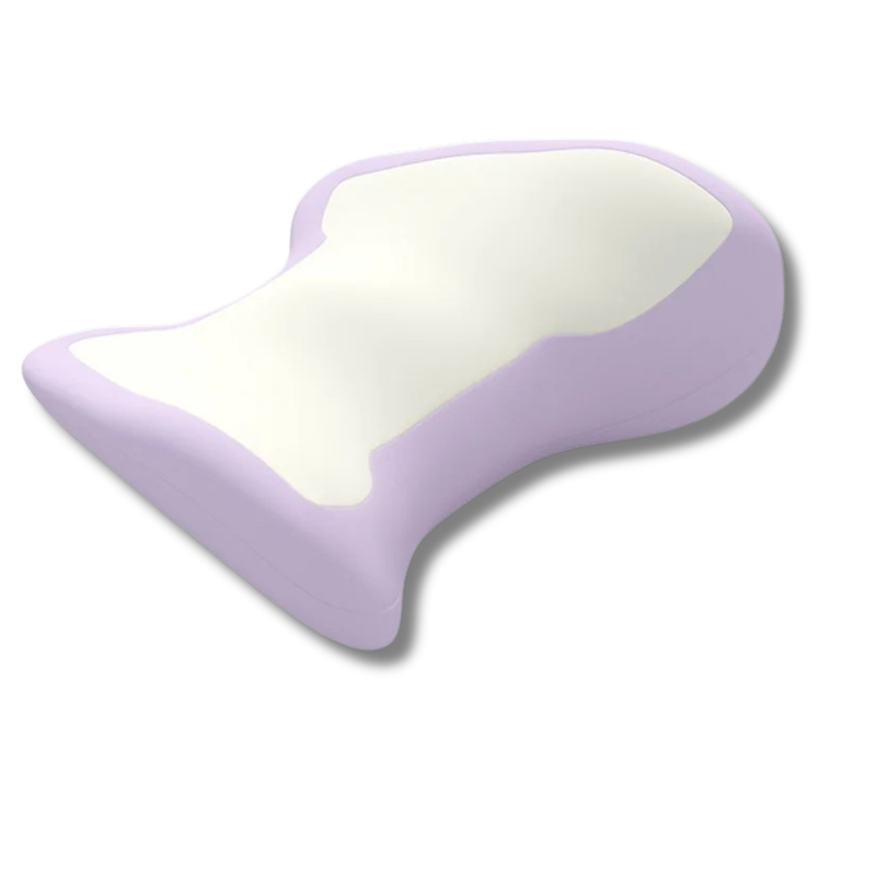 Coussin Pour Le Mal De Dos Au Lit