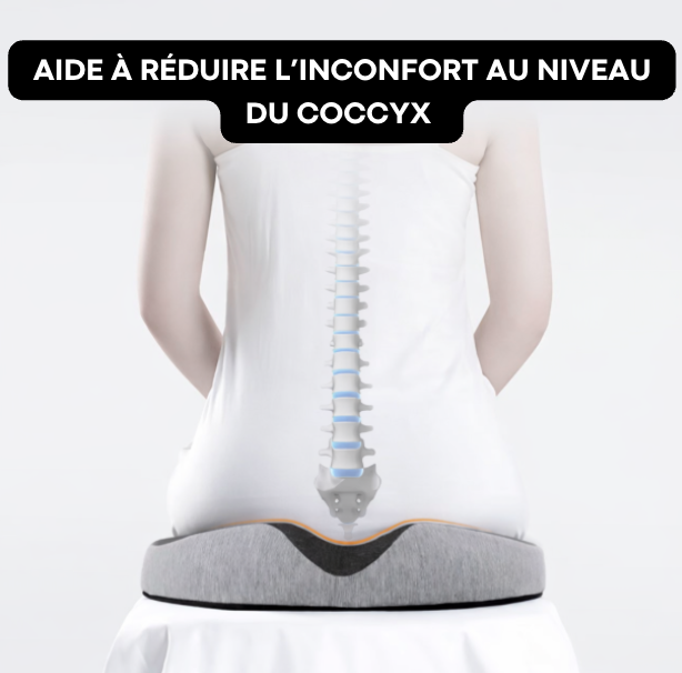Coussin Coccyx Bureau Sciatique | CoccyDesk Pro