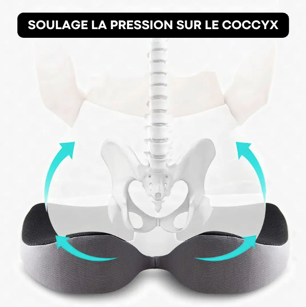 Coussin Siège Ergonomique Coccyx | SeatRelief
