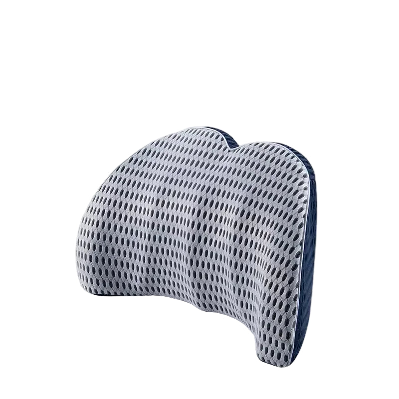 Coussin Ergonomique Pour Le Dos Voiture | CarErgoBack