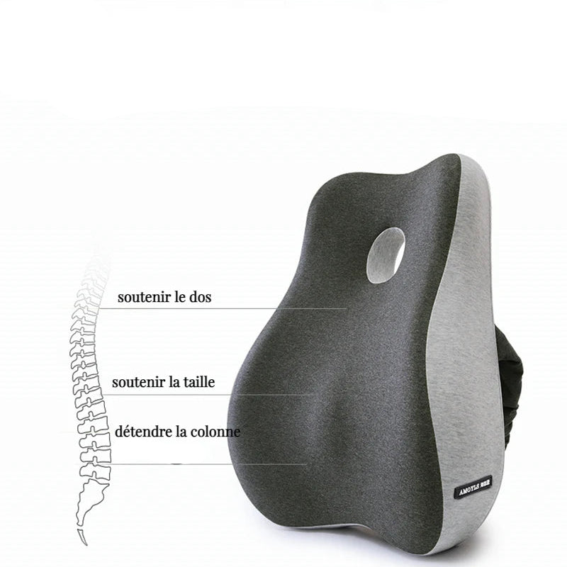 Coussin De Soutien Lombaire Pour Chaise De Bureau | OfficeComfort