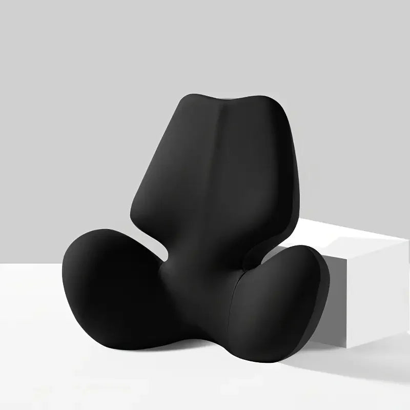 Coussin Siège Conducteur Pour Mal de Dos En Voiture | DriverRelax